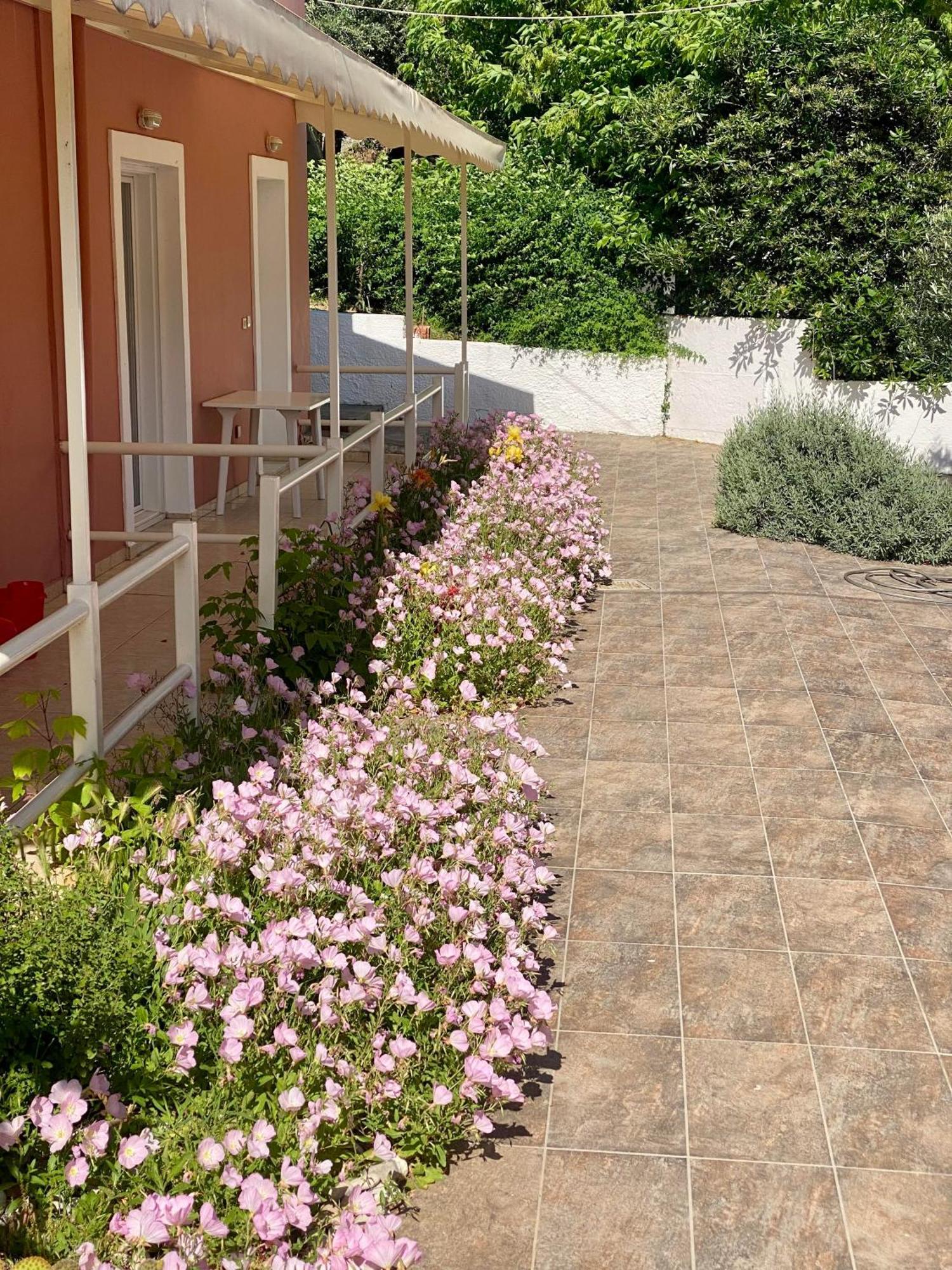 Paradiso Hotel Sea View And Pool Suites Ipsos Corfu Extérieur photo