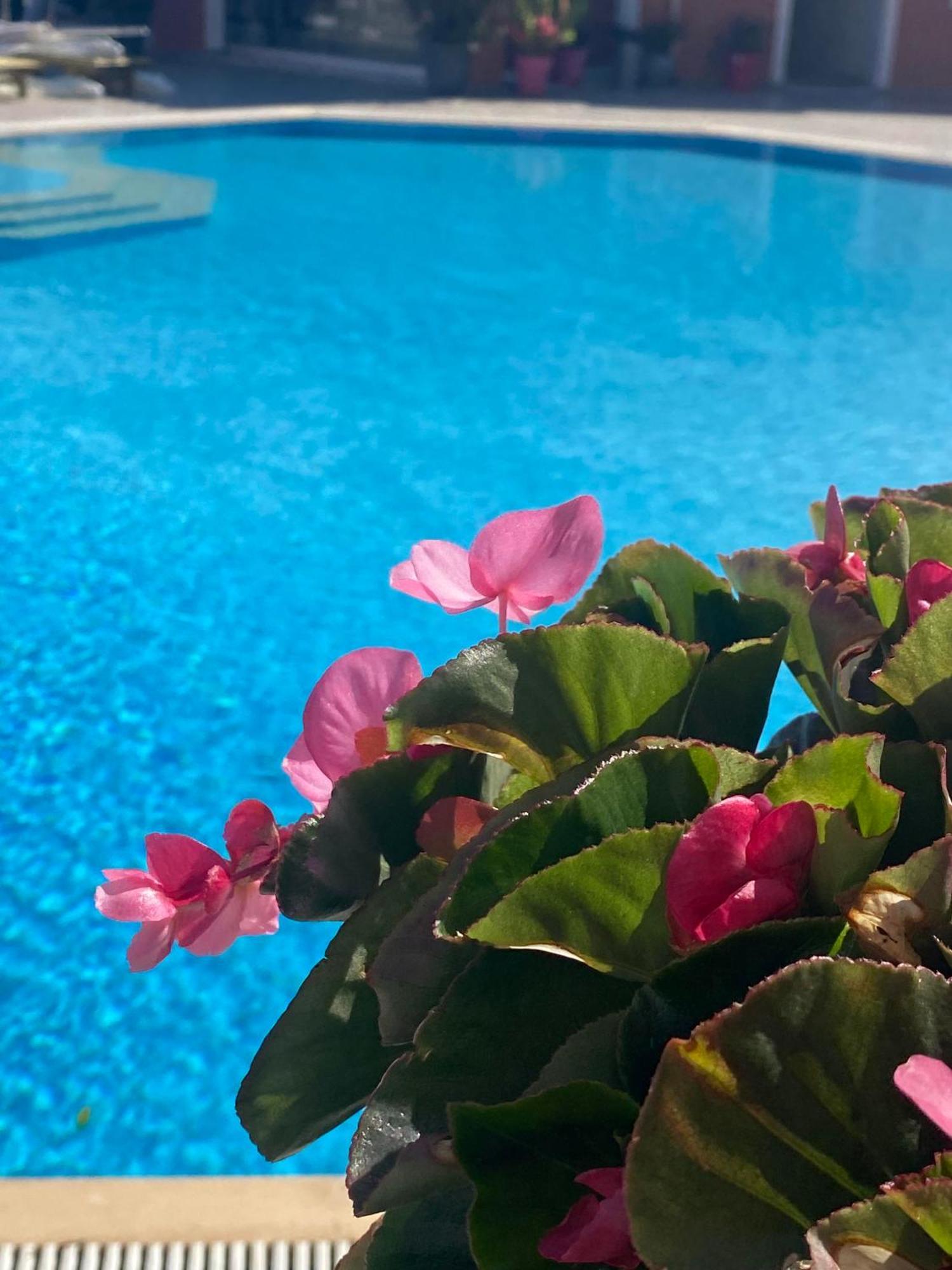 Paradiso Hotel Sea View And Pool Suites Ipsos Corfu Extérieur photo